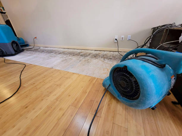 Professional Water Damage Repair technician working in Copiague, NY